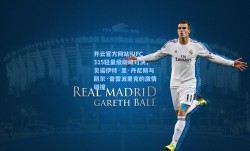 开云官方网站|UFC 315轻量级巅峰对决，贝诺伊特·圣·丹尼斯与凯尔·普雷波里克的激情碰撞