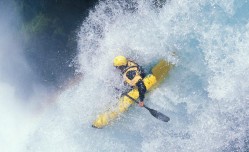 【开云体育运营团队】德媒曝多特蒙德锁定新门神目标，费耶诺德新星小斯坦科维奇或成冬窗关键引援