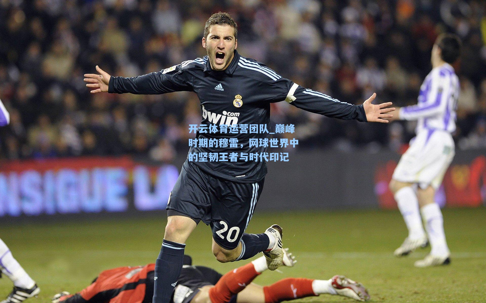 巅峰时期的穆雷,网球世界中的坚韧王者与时代印记